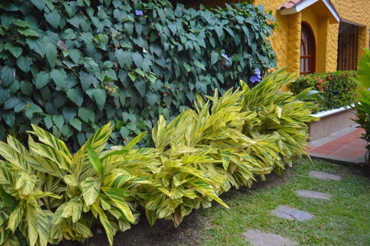 Eco Hostal Kuima El Zaino Ngoại thất bức ảnh