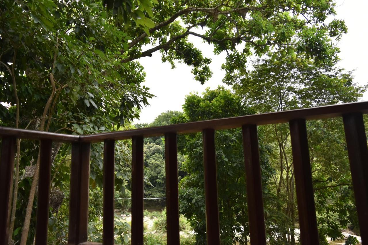 Eco Hostal Kuima El Zaino Ngoại thất bức ảnh