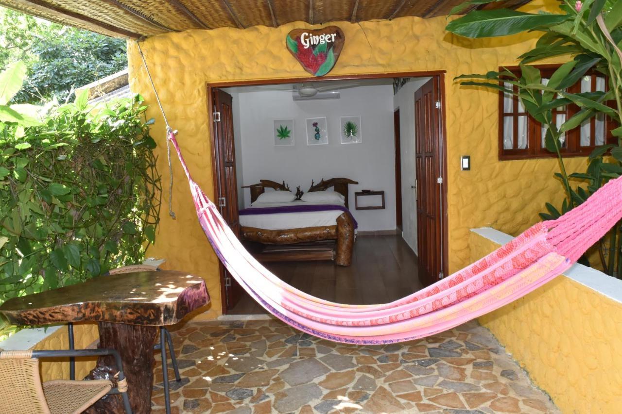 Eco Hostal Kuima El Zaino Ngoại thất bức ảnh
